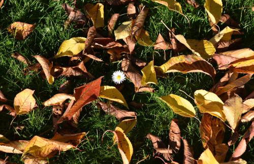 Piano nobile al Roseto del Drago - Foto 72