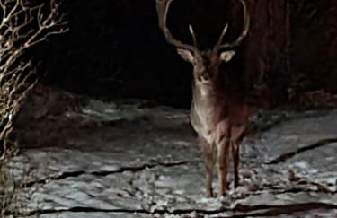 4 Sterne-Haus am See - Foto 39