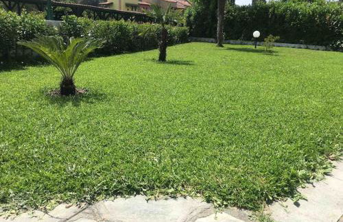 Blue house - Foto 19