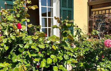 Mie sorelle (tra cielo e mare) - Foto 34