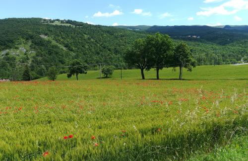 La Cartiera dei Benandanti - Foto 99