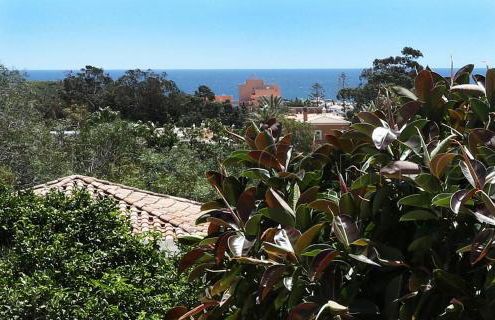 CASA BEACHCOMBER Le jardin des Arts - Foto 32