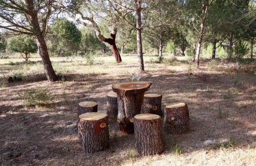 Lisbon Country Estate - Foto 22