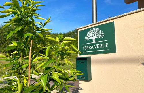Terra Verde - Photo 2
