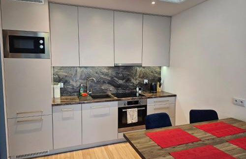 Nowoczesny i komfortowy apartament przy ulicy Kurpiowskiej blisko centrum miasta - Foto 1