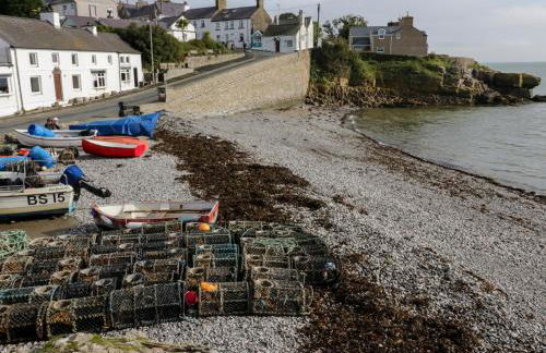 3 Moranedd - Foto 36