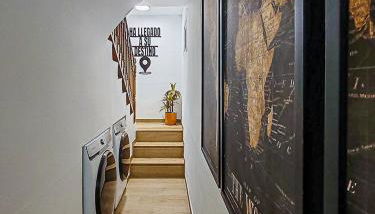 Pettit Lion - Foto 2