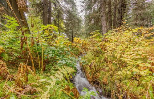 Iris Pond - Photo 42