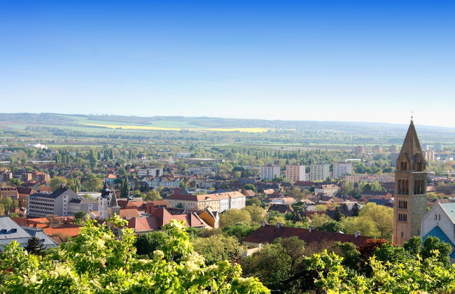 Moose Cabin With A Panoramic View - Foto 25