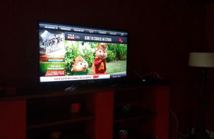 Casa de Araras - Foto 40