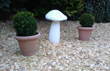 Ferienwohnungen Paul und Dorothea - Foto 109