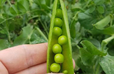 Borgo Santa Lucia - Photo 41