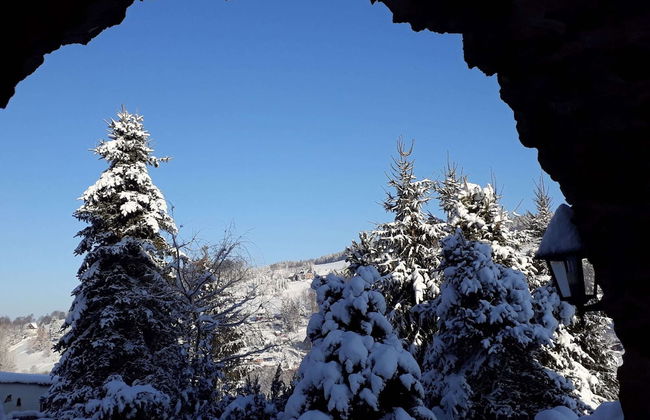 Apartment in Rittersgrun Near Ski Slopes - Foto 36