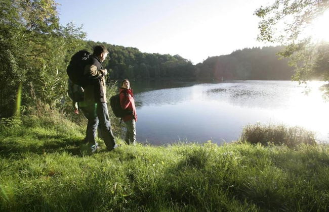 Wunderschone Ferienwohnung im Burgenland - Photo 37