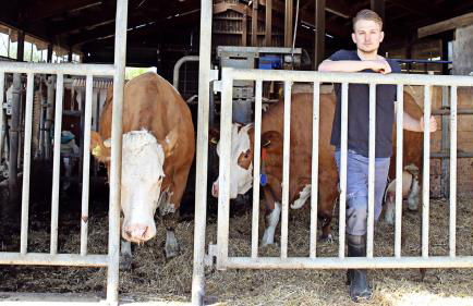 Hollweck´s Landoase - Foto 35