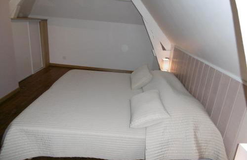 Le petit domaine des Aubuis - Foto 9