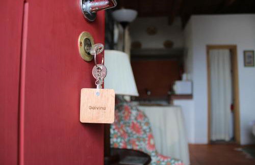 Aldeia das Cagarras - Photo 51