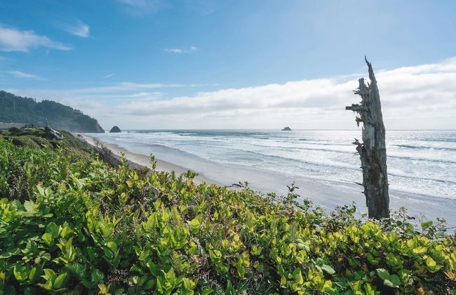 Arch Cape Escape by Avantstay Sensational Clift Top Home w/ Pacific Ocean Views - Photo 31