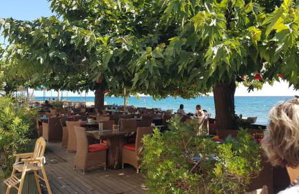 OSARI - MORIANI plage - Foto 13