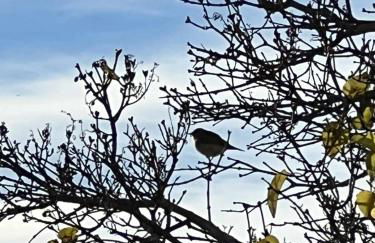 La Nava de Gredos acogedor piso con vistas - Foto 24