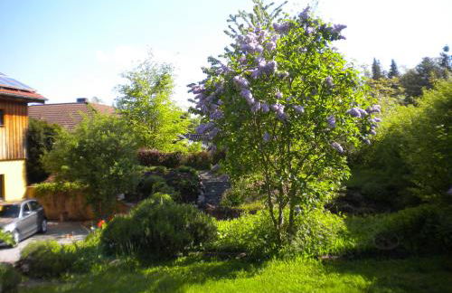 Ferienwohnung "Eifelstueffje" - Foto 52