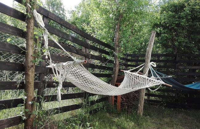 Lili's House - Photo 26