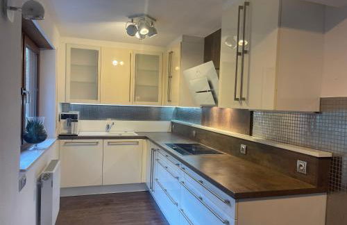 Goldstadt Garden Residence - City Apartment Pforzheim - Foto 18