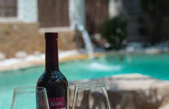 Bright villa with salt water pool - Photo 17