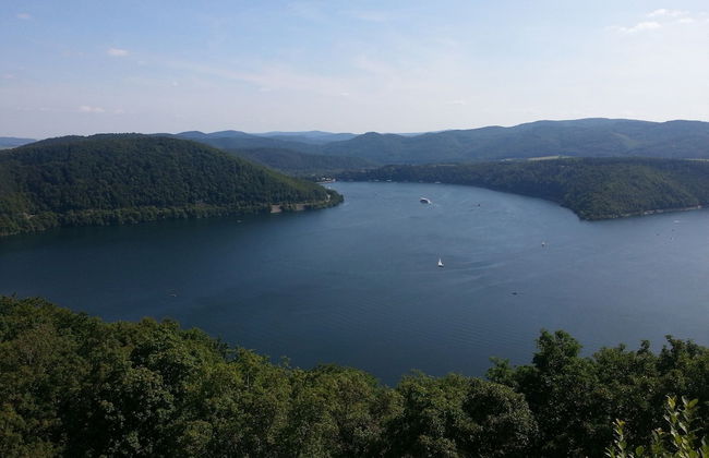 Dog-friendly Holiday Home in the Knull - Foto 30