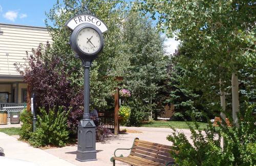 Heart of Frisco Condo - Foto 22