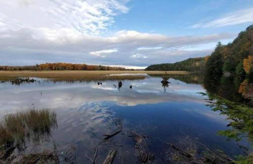 Barton City Lodge - Foto 42