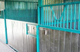 Siedlisko Słoneczny Jar - Foto 16