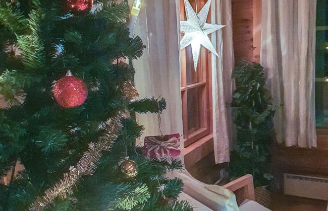 Hartolan ilo - Foto 55