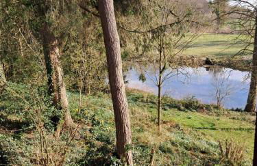 Schloss Rimburg - Apartments & Ferienwohnungen - Foto 64