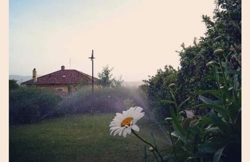 Agriturismo Monte Cologna - Photo 74