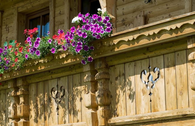 Schatzbergblick - Foto 29