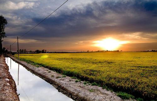 TERRES DE L'EBRE Between two natural parks - Foto 17