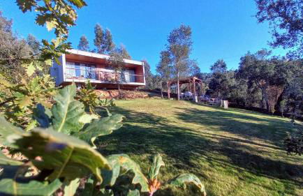 Horizonte Monte Verde - Foto 36