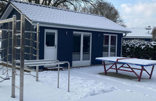 Ferienhaus mit Pool und Sauna am Duemmer See - Foto 40