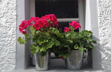 Ferienwohnung Lahnmündung - Foto 6