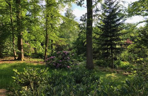 Waldhaus Möhnesee - Foto 26