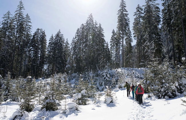 Apartment in Bramberg am Wildkogel With Balcony - Foto 26