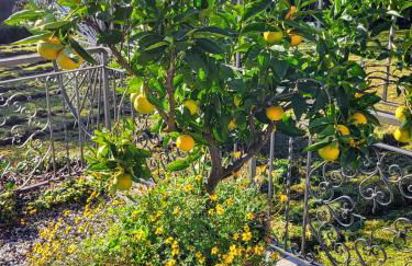 Casa Intignano - appartamento con terrazzo vista lago - Foto 23