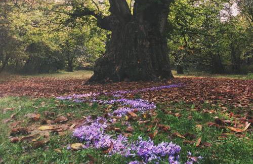 L Ottavo Sapore Ospitalita Rurale - Foto 17