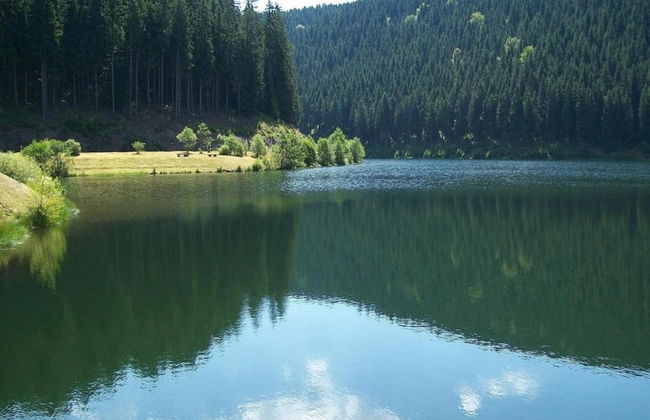 Apartment With Forest in Goldisthal Thuringia - Foto 39