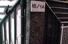 Nel Giardino di Carla - Foto 30