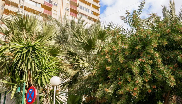 Apartamentos El Faro By Mc - Foto 2