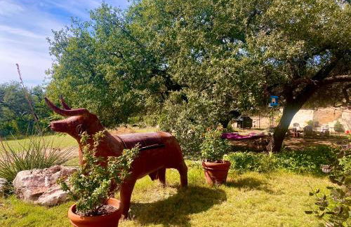 V700 Ranch Stays (Guesthouse)-A Tucked Away Gem - Foto 21