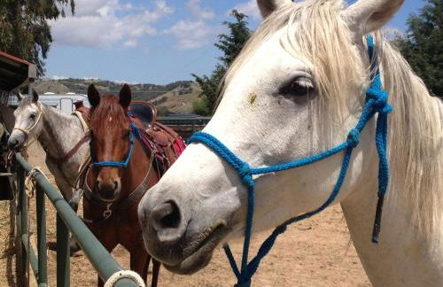 Agriturismo Al Poggetto - Foto 26