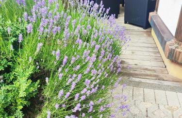 Ferienwohnung Hasenfratz - Foto 71
